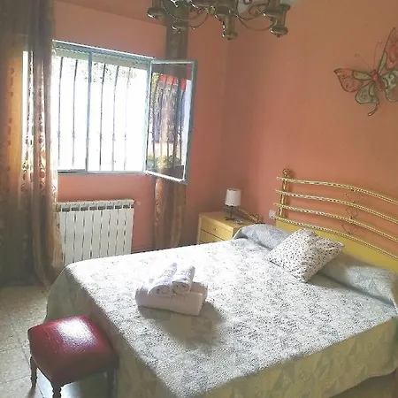 Guijarro Con Piscina 