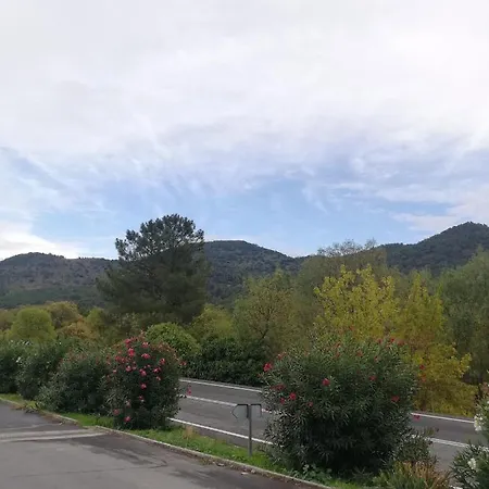 Guijarro Con Piscina 