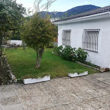 Guijarro Con Piscina 