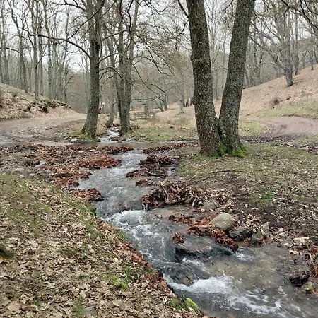 Guijarro Con Piscina 